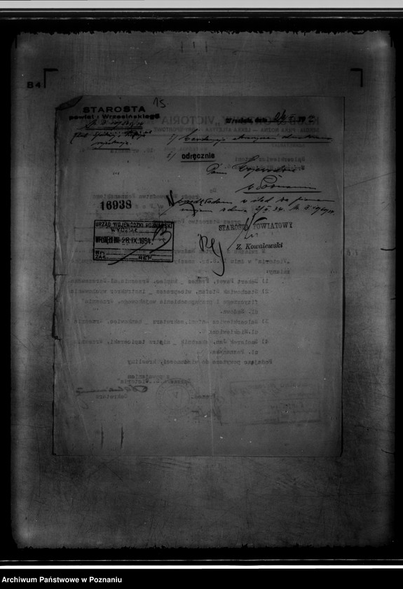 Obraz 19 z jednostki "/Klub Sportowy,,Victoria" we Wrześni/"