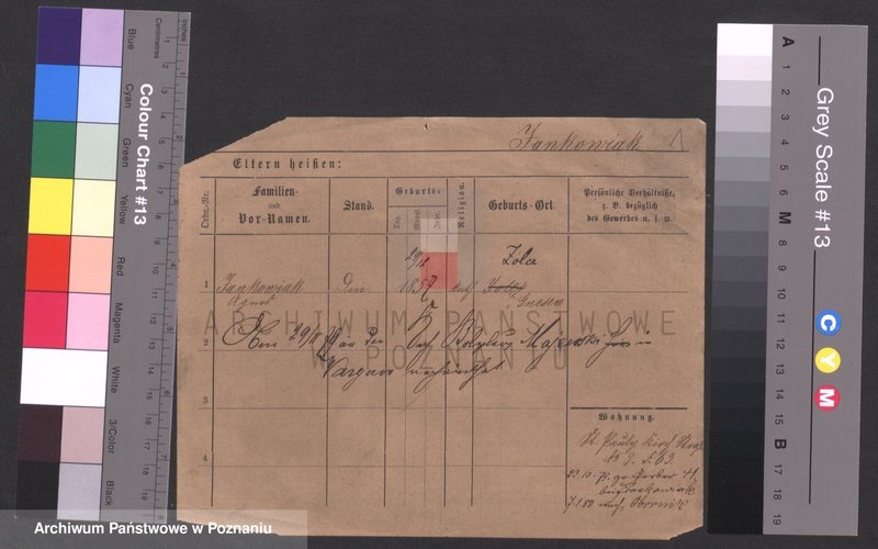 Obraz 1 z jednostki "Jankowiak (samotne kobiety)"