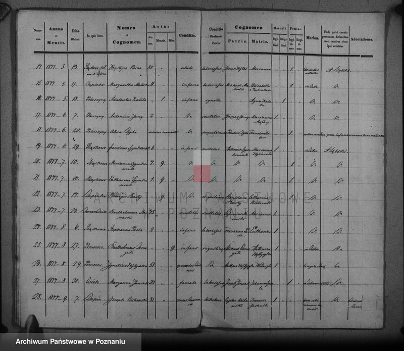 image.from.unit.number "Duplikat baptisatorum, copulatorum, mortuorum"