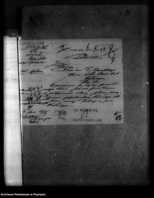image.from.unit.number "Majętność leśna Dobrzyca powiat krotoszyński"