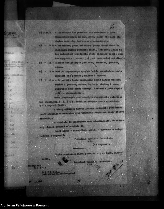 Obraz 10 z jednostki "/Majętność leśna Bugaj / powiat krotoszyński"