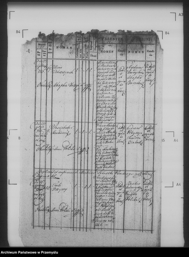 Obraz 12 z jednostki "[Kopie ksiąg metrykalnych parafii Żużel z filią Cebłów (dekanat Bełz)]"