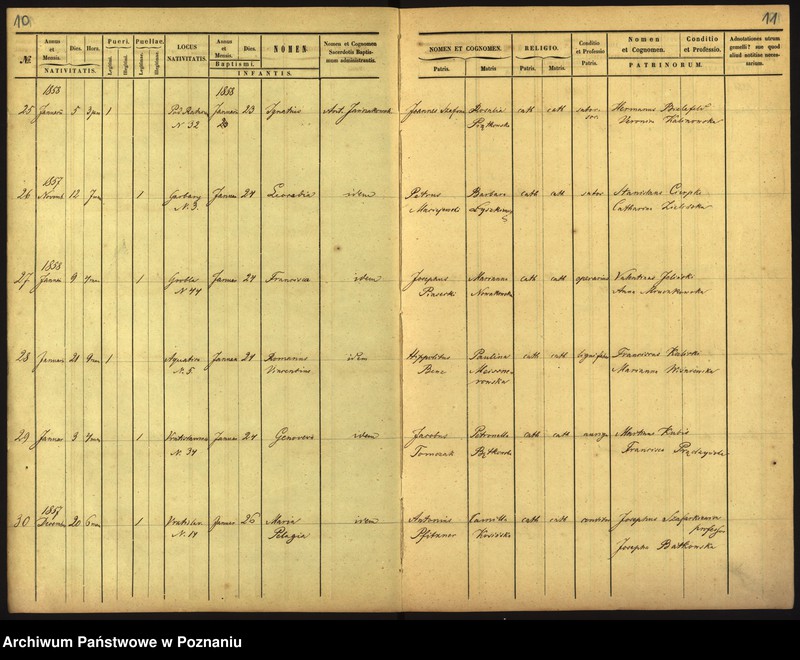 Obraz 8 z jednostki "Księga urodzin"