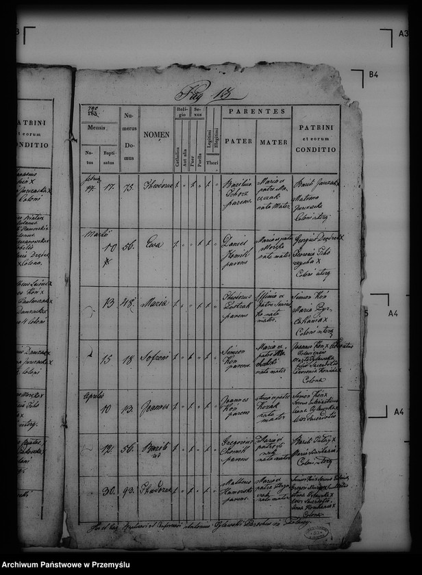 Obraz 17 z jednostki "[Kopie ksiąg metrykalnych parafii Puławy (dekanat Buków)]"