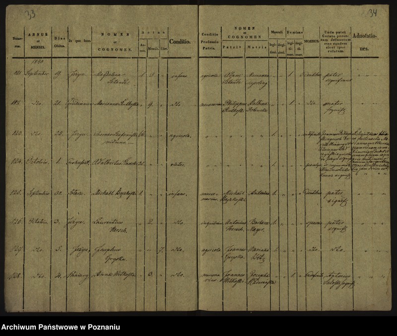 Obraz 20 z jednostki "Księga zgonów"