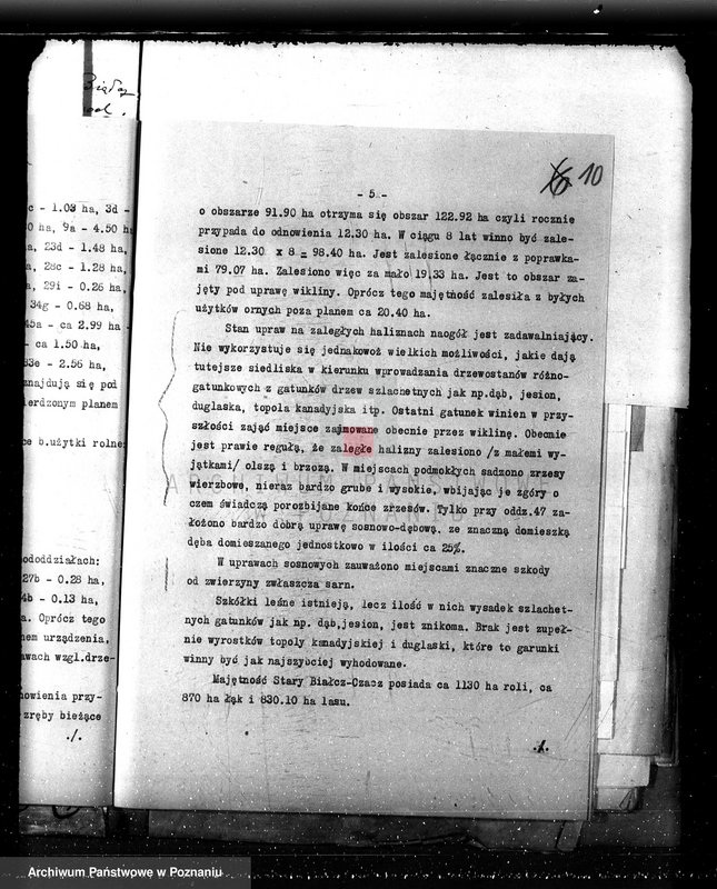 Obraz 14 z jednostki "Nadzór nad gospodarką w lasach majętności Czacz-Białcz powiat kościański"