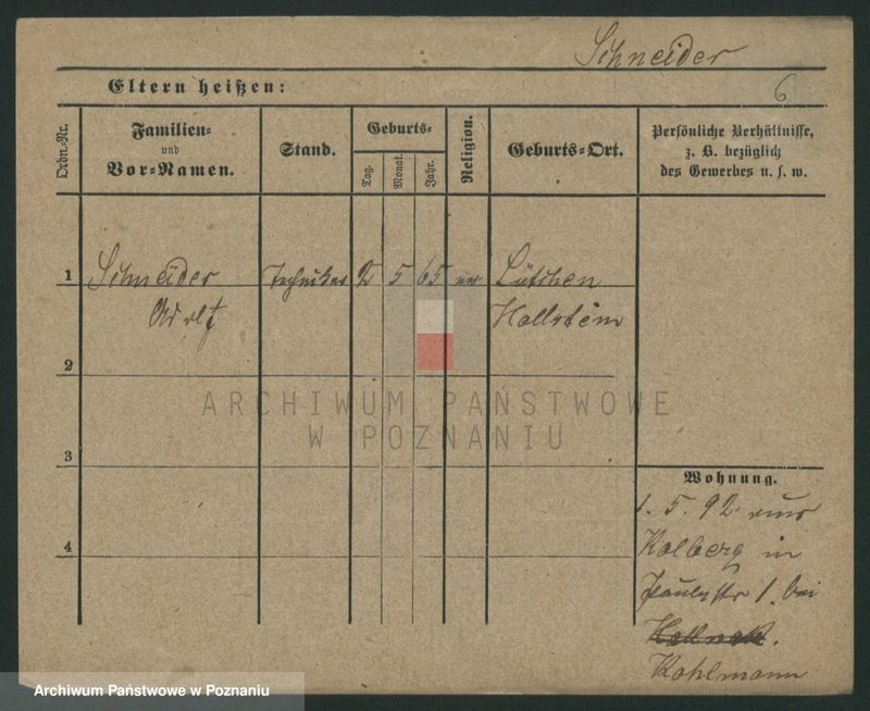 Obraz 15 z jednostki "Sznajder (samotni mężczyźni i kobiety)"