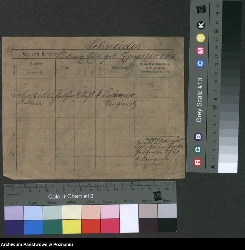 Obraz 6 z jednostki "Sznajder (samotni mężczyźni i kobiety)"