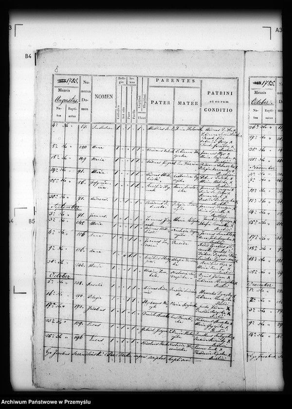 image.from.unit.number "[Kopie ksiąg metrykalnych parafii Dzików Stary (dekanat Cieszanów)]"