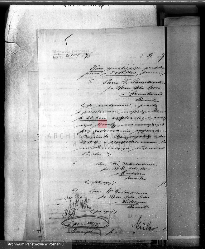 Obraz 9 z jednostki "Majętność Posadowo w powiecie nowotomyskim"