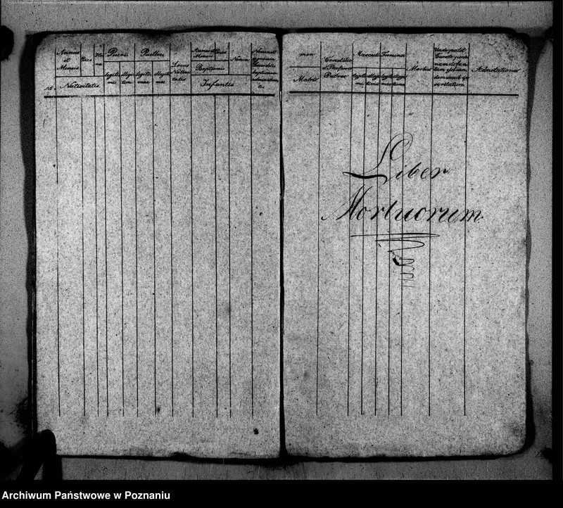 Obraz 14 z jednostki "Duplikat libri baptisatorum, copulatorum, mortuorum"