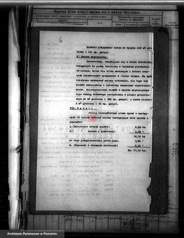Obraz 10 z jednostki "Dodatkowy plan urządzenia gospodarstwa leśnego dla lasu majętności Grzuszyn powiat szamotulski 1937-1938"