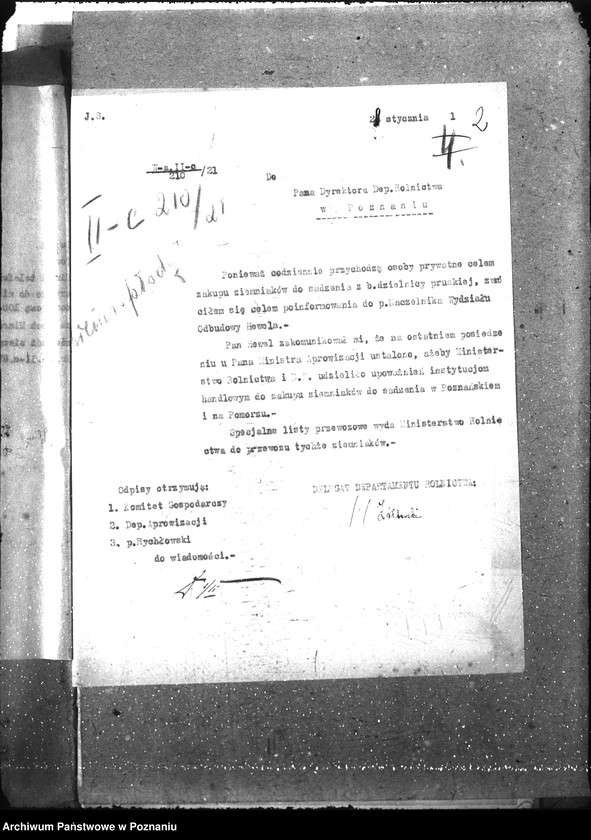 Obraz 6 z jednostki "Ziemiopłody"