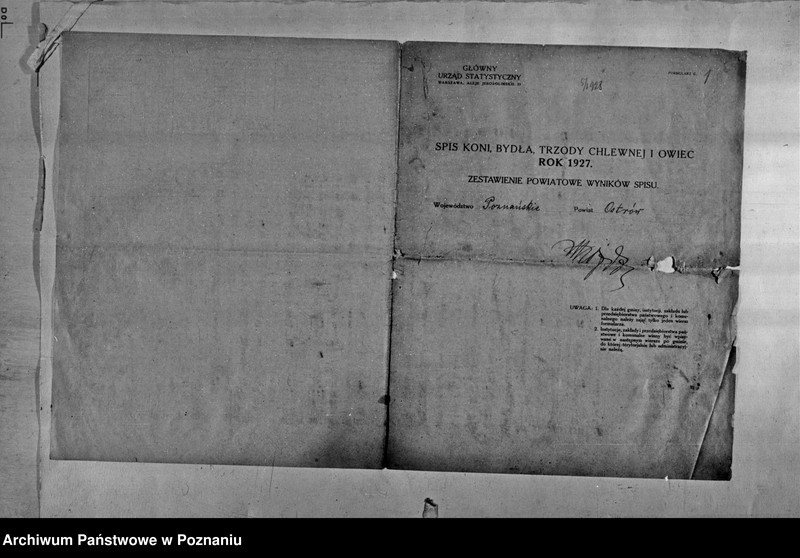 Obraz 2 z jednostki "Spis koni, bydła, trzody chlewnej i owiec - zestawienie z terenu powiatu ostrowskiego"