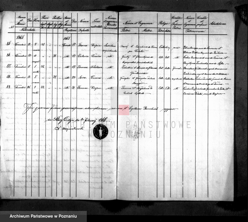 Obraz 8 z jednostki "Liber baptisatorum"