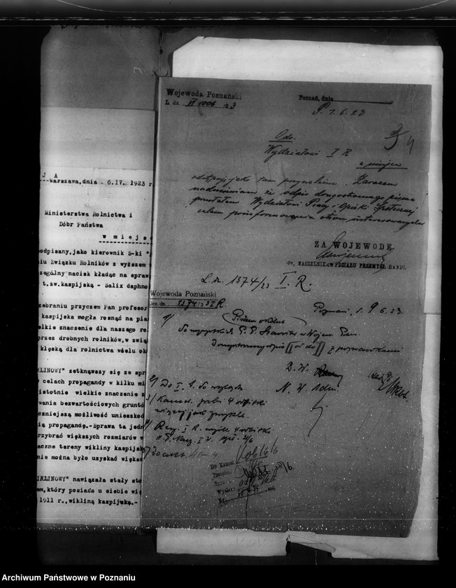 image.from.unit.number "Zalesienie ziem pustych"
