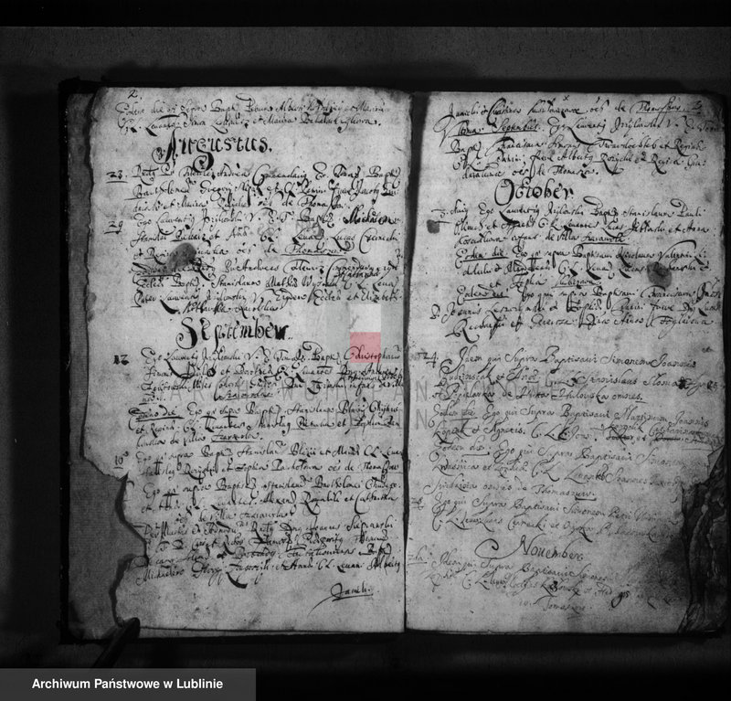 Obraz z jednostki "Liber baptisatorum"