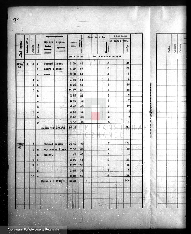 Obraz 11 z jednostki "/Las majątku Wielichowo/"