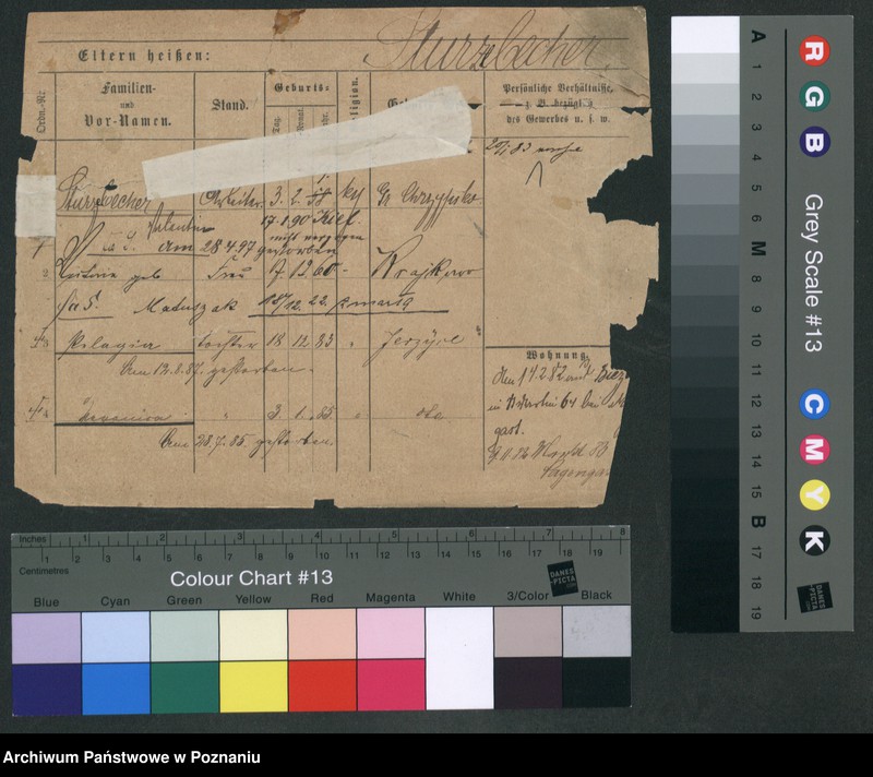 Obraz 7 z jednostki "Strzyżewski - Stwirok"