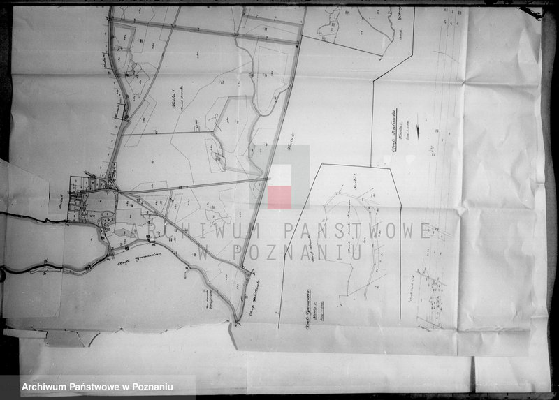 Obraz 19 z jednostki "Operat wyłączeń w myśl art.4 i 5 ustawy o reformie rolnej majątku Falmierowo powiatu wyrzyskiego mikrofilm"