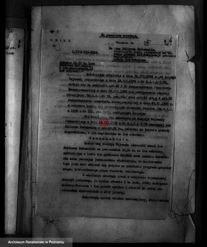 Obraz 10 z jednostki "Krzywekolano powiat mogileński /las Juliuszy Rodenwalda/"