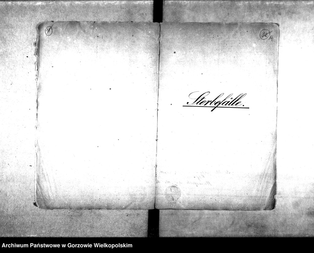 image.from.unit.number "Duplikate der Kirchenbücher von: Wormsfelde (Wojcieszyce) mit Unterförsterei, Theerofen und Mühlen, Stolzenberg (Różanki) mit Oberförsterei, Ziegelei, Kolonie und Theerofen."