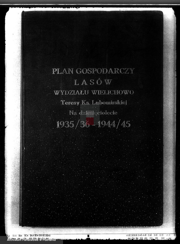 Obraz 4 z jednostki "Plan gospodarczy lasów Wydziału Wielichowo Teresy ks. Lubomirskiej na dziesięciolecie 1935/36-1944/45"