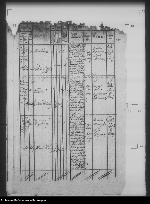 Obraz 11 z jednostki "[Kopie ksiąg metrykalnych parafii Żużel z filią Cebłów (dekanat Bełz)]"