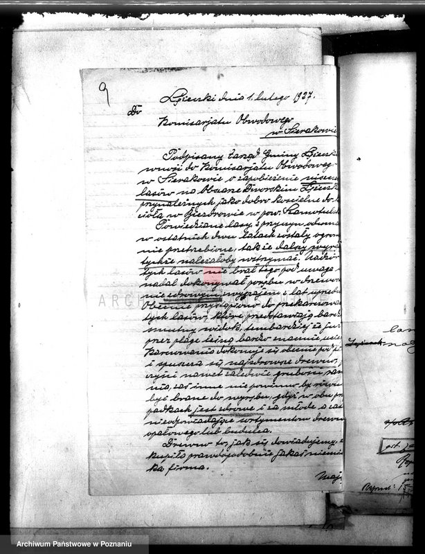 Obraz 13 z jednostki "Kościół katolicki Biezdrowo Łężeczki powiat międzychodzki /nadzór nad gospodarką leśną/"