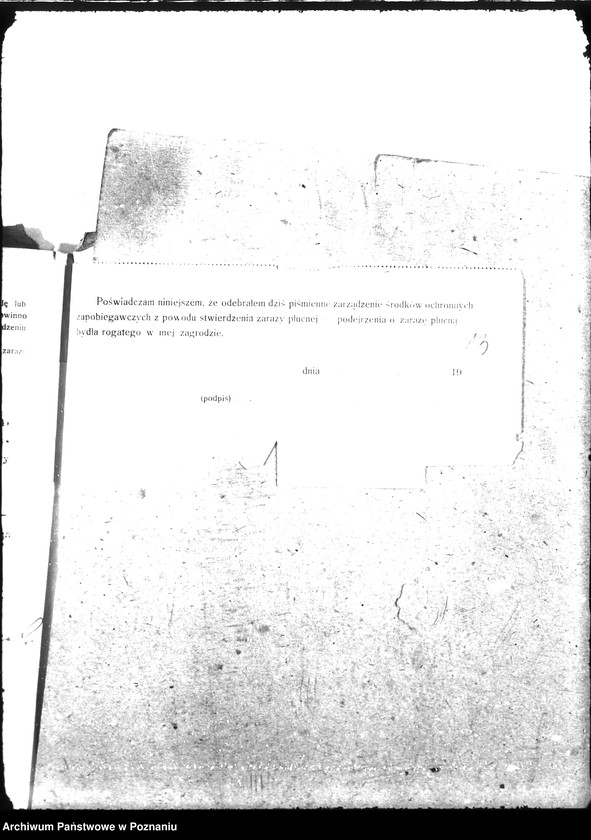 Obraz 20 z jednostki "Sprawy szczegółowo-Zaraza płucna - Toruń"