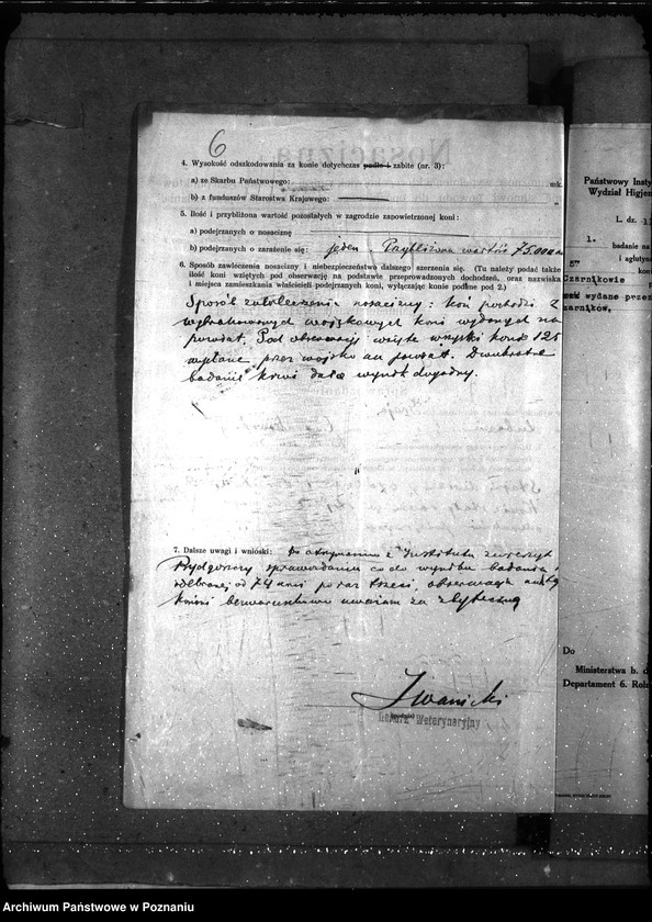 Obraz 10 z jednostki "Nosacizna - Czarnków"