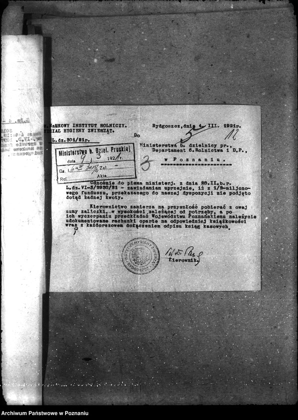 Obraz 16 z jednostki "- księgosusz -"