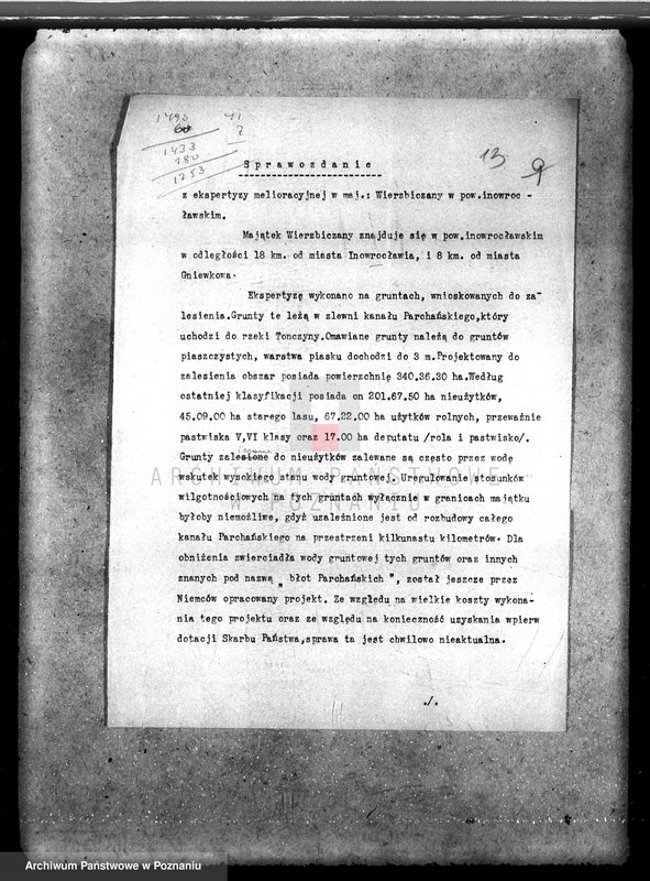 Obraz 17 z jednostki "Majątek Wierzbiczany w powiecie inowrocławskim /nadzór nad gospodarką leśną"