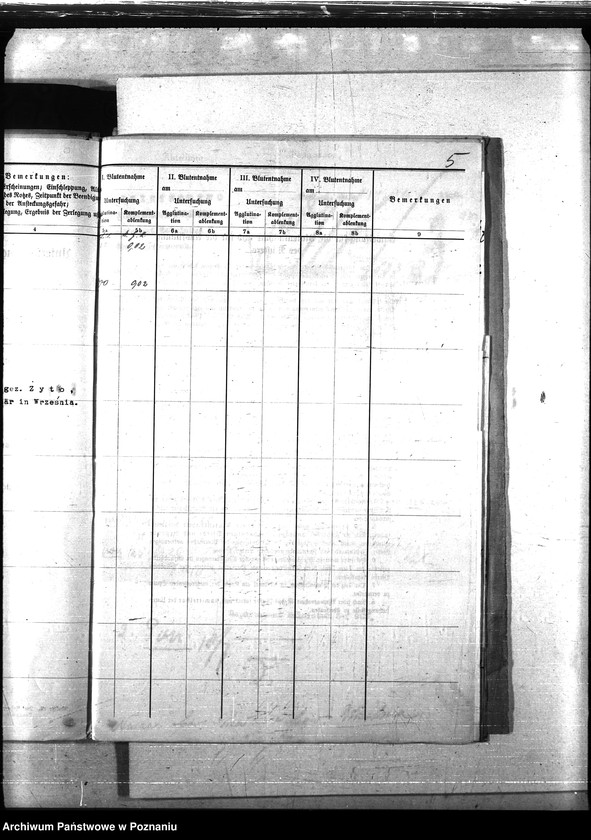 Obraz 9 z jednostki "Nosacizna - Września"