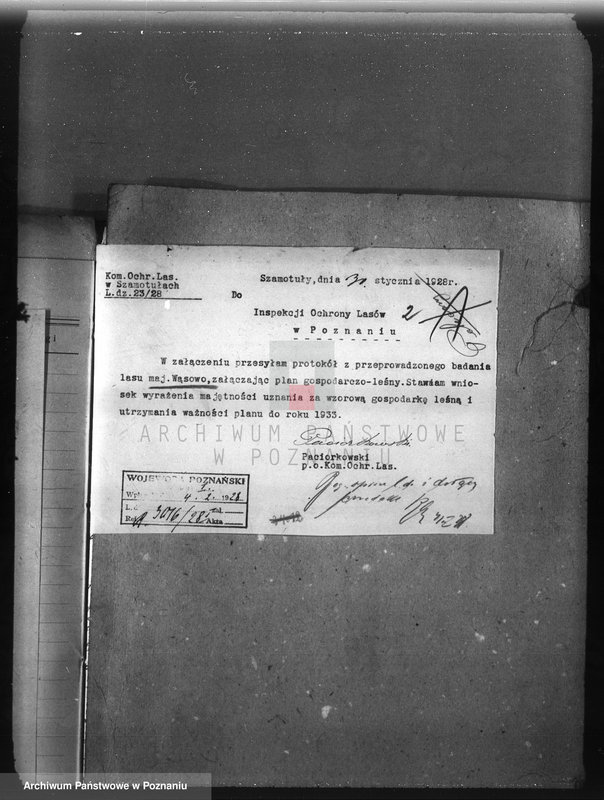 Obraz 6 z jednostki "Majętność leśna Wąsowo w powiecie nowotomyskim"