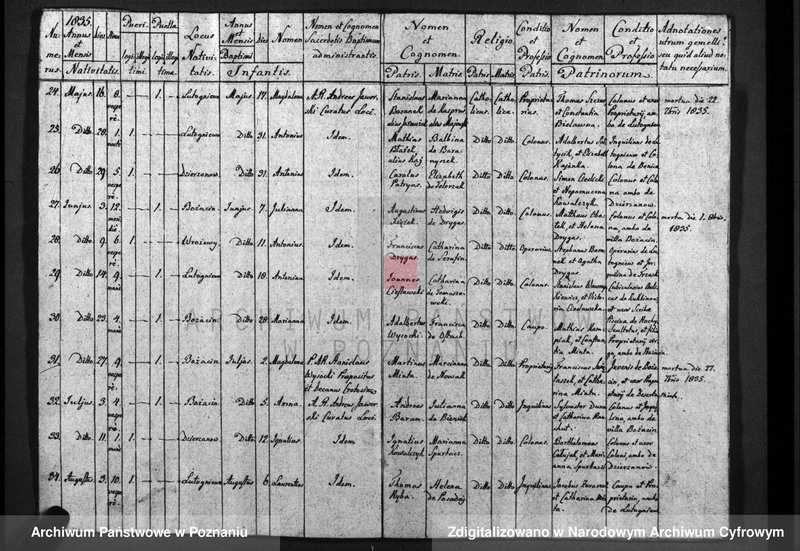 image.from.unit.number "Duplicatum baptisatorum, copulatorum, mortuorum"