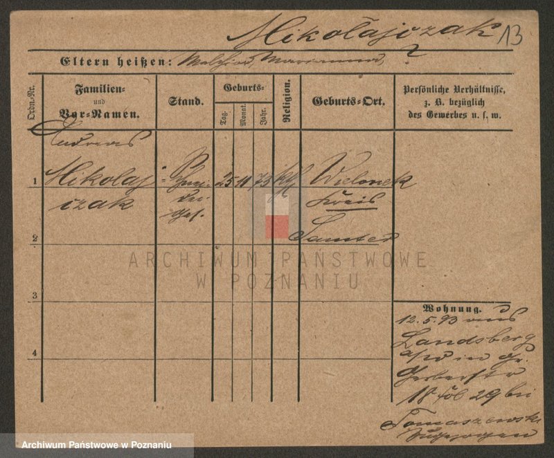 Obraz 15 z jednostki "Mikołajczak (żonaci i wdowy)"