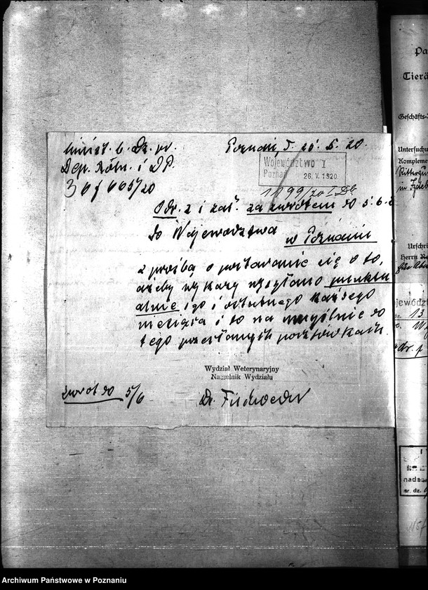 Obraz 7 z jednostki "Nosacizna - Międzychód"