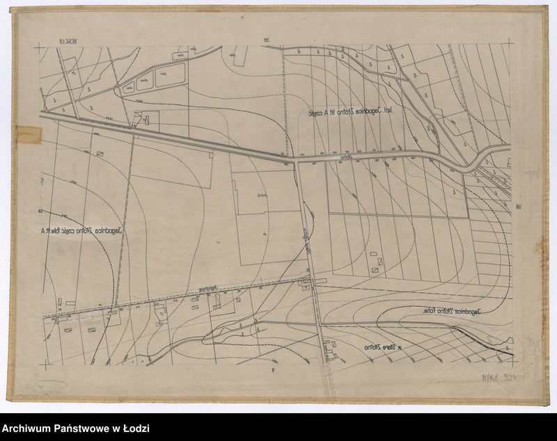 Obraz 2 z jednostki "Mapa sytuacyjno-wysokościowa Łodzi sekcja NW17 - ul.: Złotno, Stare Złotno, Jagodnica"
