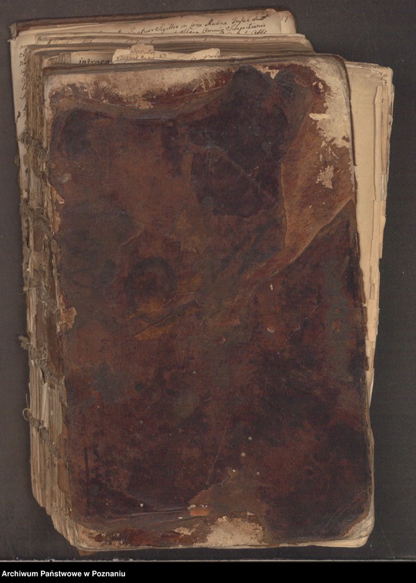 Obraz 3 z jednostki "Prothocollum nobilis officii consularis civitatis SR.Mtis Posnaniae."