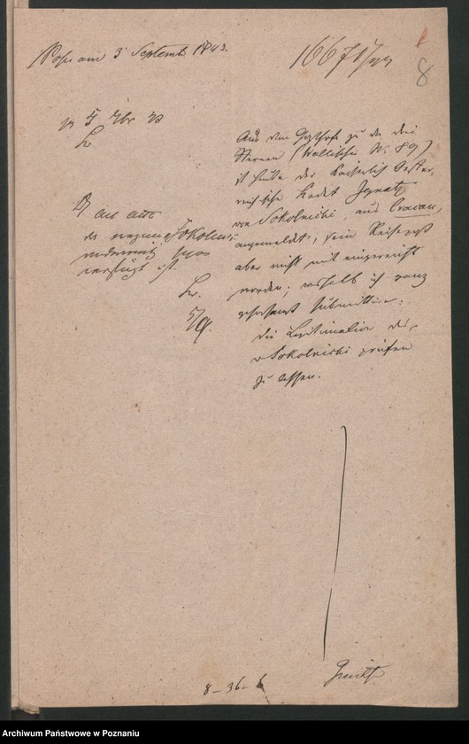 Obraz 14 z jednostki "A. betr. den Vinzent Sobierajski, Ignatz von Sokolnicki, gräfliche Familie Sokolnicki und Michael Graf Soltan"