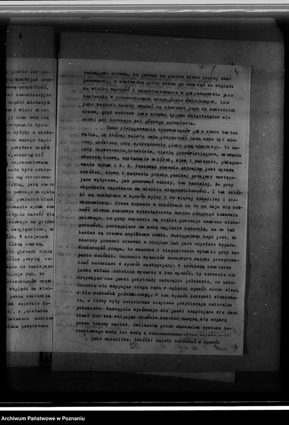 Obraz 8 z jednostki "Zarząd majętności /leśnej/ Szreniawa powiat poznański"