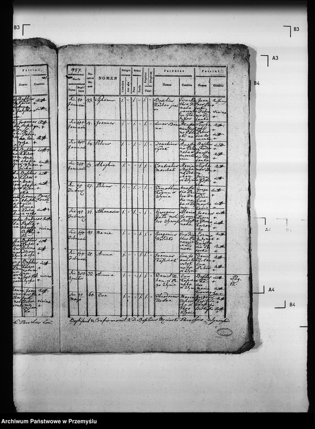 Obraz 11 z jednostki "[Kopie ksiąg metrykalnych parafii Zdynia z filiami Konieczna, Ług (dekanat Gorlice)]"