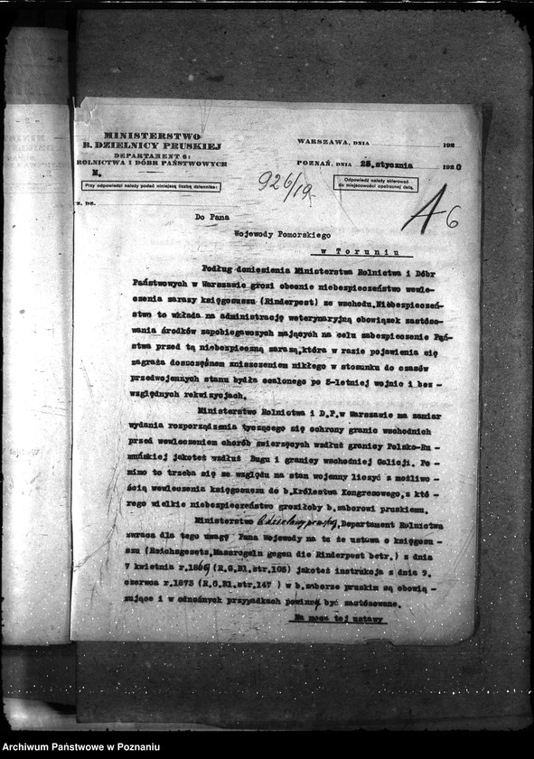 Obraz 9 z jednostki "Sprawy ogólne Wykazy chorób zaraźliwych,- księgosusz -"