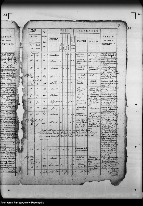 Obraz 20 z jednostki "[Kopie ksiąg metrykalnych parafii Małnów (dekanat Mościska)]"