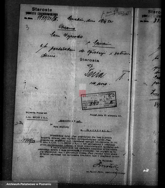 Obraz 7 z jednostki "/Nadzór nad lasami majętności Maciejewo w powiecie czarnkowskim/"