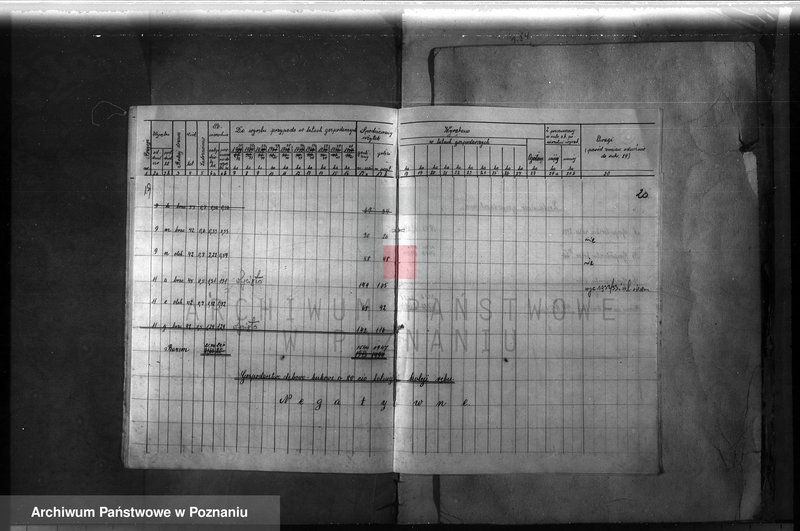 Obraz 18 z jednostki "Majętność leśna Ławica w powiecie międzychodzkim /plan urządzenia gospodarstwa leśnego/"