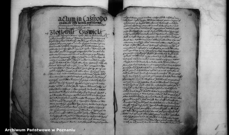 Obraz 12 z jednostki "Inscriptiones [inducta]"