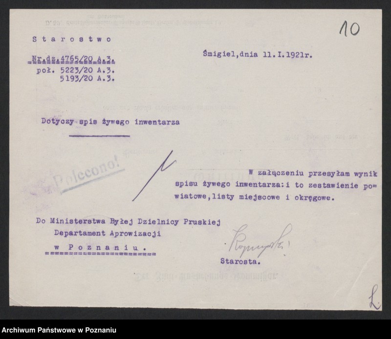 Obraz 11 z jednostki "[Spis inwentarza żywego w Księstwie Poznańskim w obrębie linii demarkacyjnej z 15 grudnia 1919 roku i inne spisy inwentarza żywego oraz ludności w województwie pomorskim]"