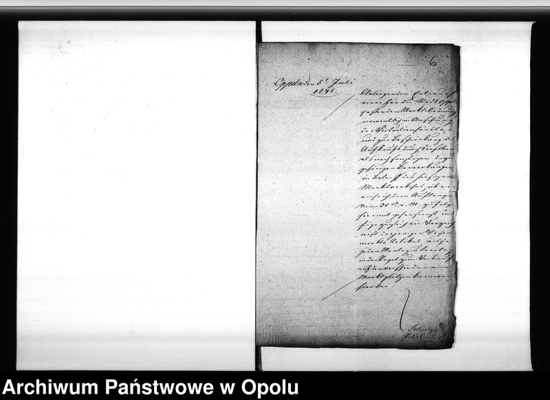 Obraz 9 z jednostki "Acta des Magistrats zu Oppeln betreffend die Markt-Ordnung für hiesige Stadt Vol I"